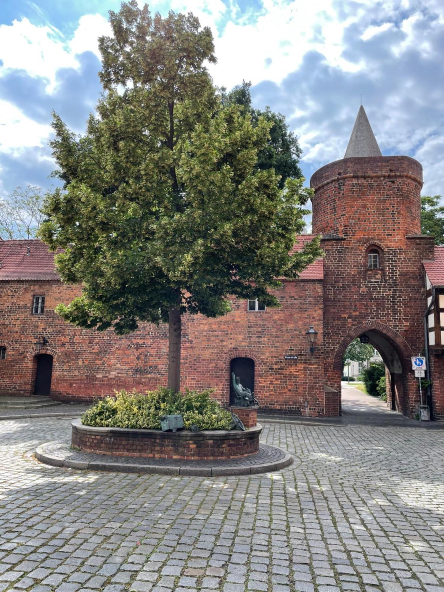 Sorat Cottbus